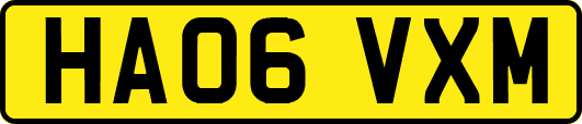 HA06VXM