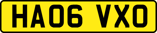 HA06VXO