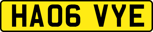 HA06VYE