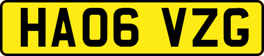 HA06VZG