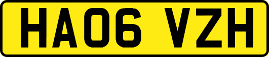 HA06VZH
