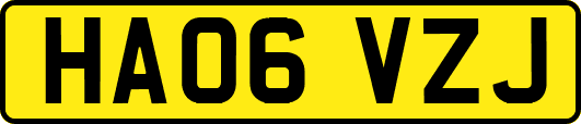 HA06VZJ