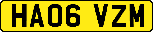 HA06VZM