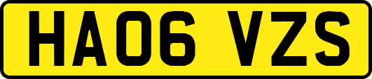 HA06VZS