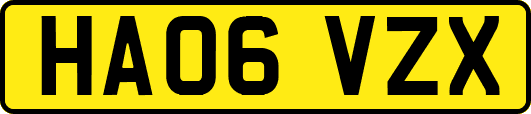 HA06VZX