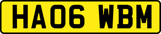 HA06WBM