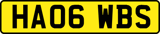 HA06WBS