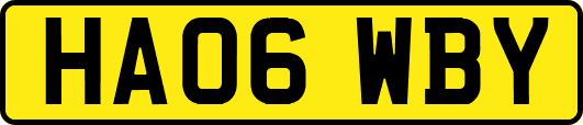 HA06WBY
