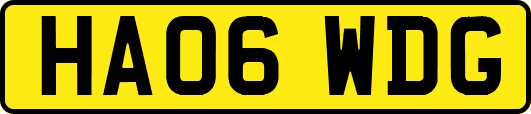 HA06WDG