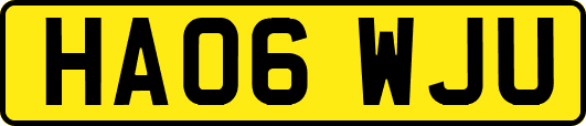 HA06WJU