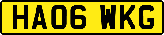 HA06WKG