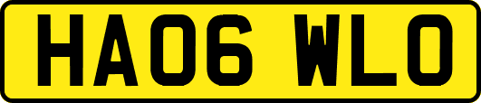 HA06WLO