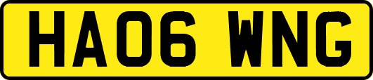 HA06WNG