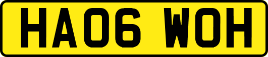 HA06WOH