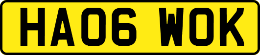 HA06WOK