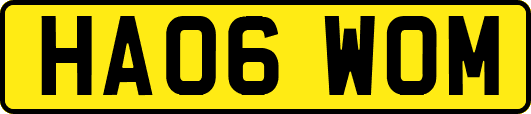 HA06WOM