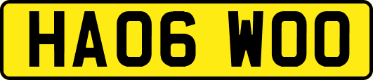 HA06WOO
