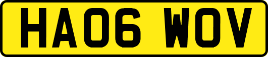 HA06WOV