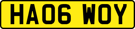 HA06WOY
