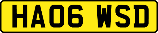 HA06WSD