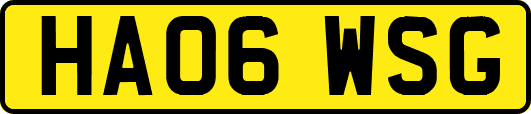 HA06WSG