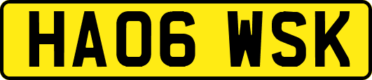 HA06WSK