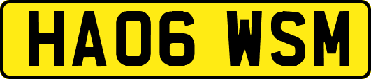 HA06WSM