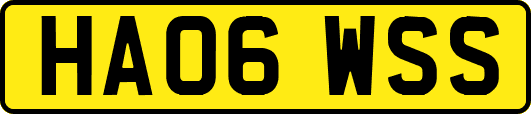 HA06WSS