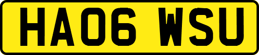 HA06WSU