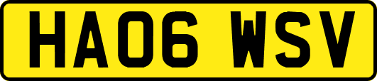 HA06WSV
