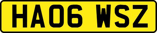 HA06WSZ
