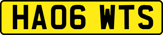HA06WTS