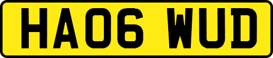 HA06WUD