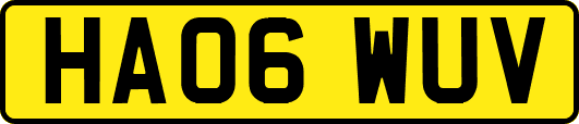 HA06WUV
