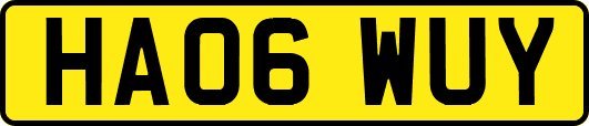 HA06WUY