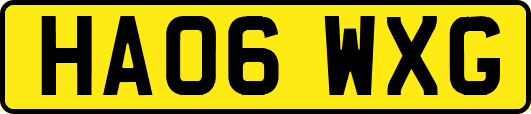HA06WXG