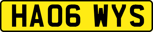 HA06WYS