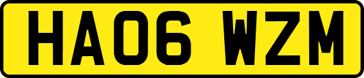HA06WZM