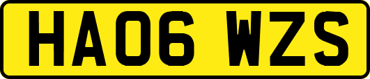 HA06WZS