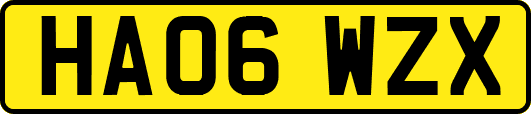 HA06WZX