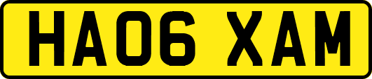 HA06XAM
