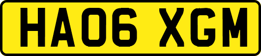 HA06XGM