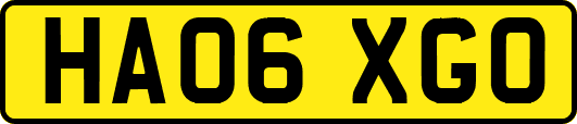 HA06XGO
