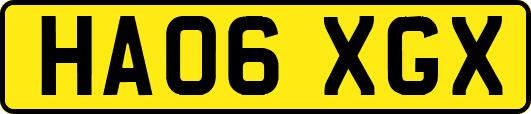 HA06XGX