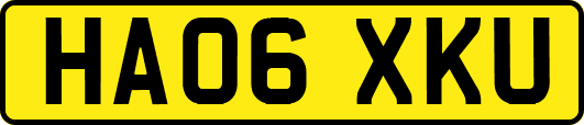 HA06XKU