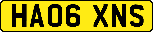 HA06XNS