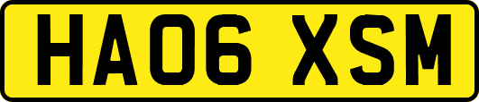 HA06XSM