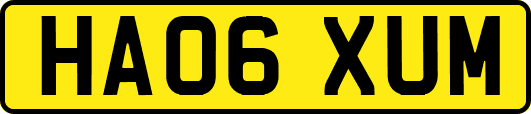 HA06XUM