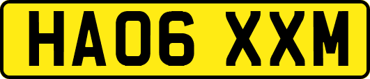 HA06XXM