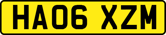 HA06XZM